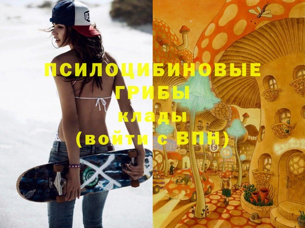 2c-b Абинск