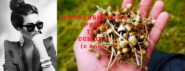 каннабис Абаза
