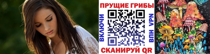 Псилоцибиновые грибы Psilocybe  Протвино 
